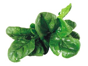 Espinacas
