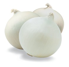 Cebolla